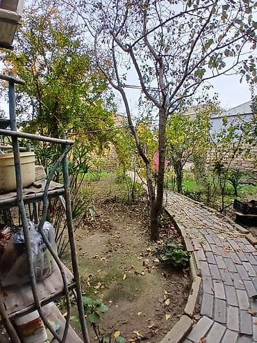mehdiabad ev: Həyət evi 3 sot 3 otaq əl damı arxada bağı iki daş kürsülü real — 10