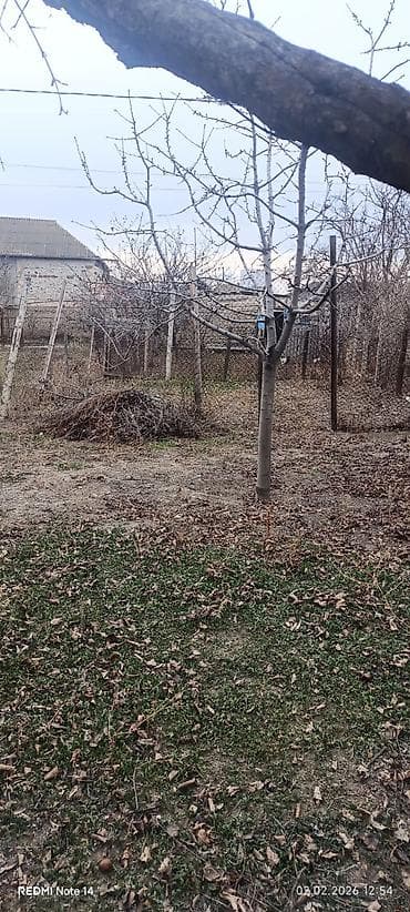 qurd dərəsi torpaq: Satılır: həyət evi Təsvir: - Bir mərtəbəli, beton/daş konstruksiyalı — 8