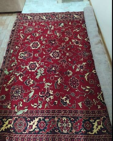 Xalça Qoruyucu, Azərbaycan, Kredit yoxdur