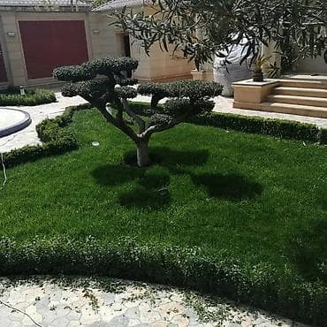 Tikinti və təmir: Pejaj və landşaft xidmətləri - Həyətyanı sahələrin tam — 8