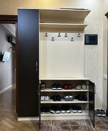 koridor ucun dolap: 2 qapılı, Qəhvəyi, Açılan, Düz dolab — 2
