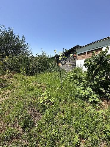 4 göz satışı: 5 sot, Tikinti, Mülkiyyətçi, Kupça (Çıxarış), Texniki pasport — 6