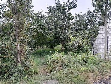 torpaq masazır: Kənd təsərrüfatı — 4