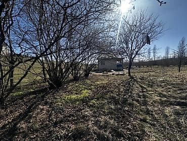 torpaq alqi satqisi: 10 sot, Tikinti, Kupça (Çıxarış) — 6