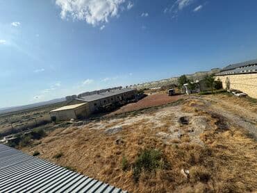 Lexus: 30 sot, Kənd təsərrüfatı — 2