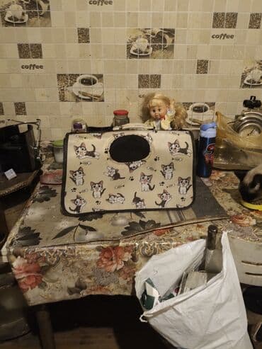 Heyvanlar üçün mallar: Pişik daşıma çantası - Naxış: krem rəngli fon üzərində sevimli pişik — 4