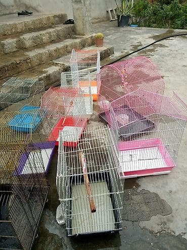 Heyvanlar üçün mallar: Taxta dirəkləri olan, ağ rəngli metal quş qəfəsi. Qəfəsin altında quş — 3