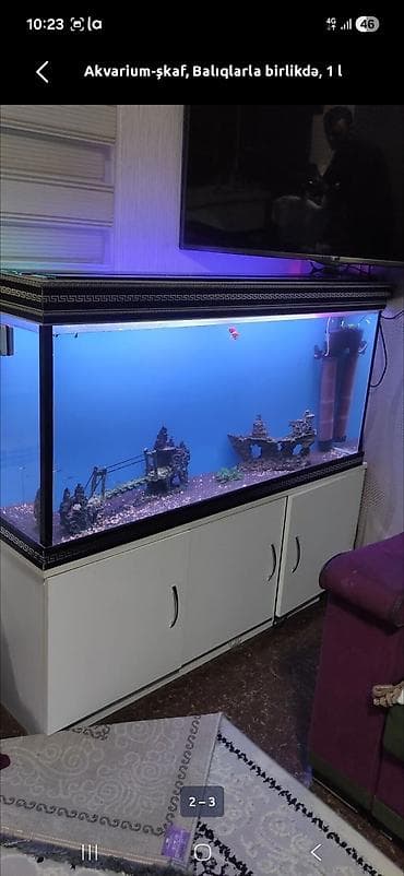 akvarim: Аквариум-шкаф, Вместе с рыбами, 250 л, Самовывоз — 1