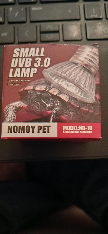 ucuz goyercinler: Quru sudağan (tısbağa) və terrarium komplekti - Növ: kiçik ölçülü — 3