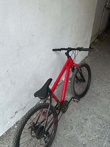 mini velosiped: Real alicilara endirim var 40-50 manat xerci var elmlerde yerləşir — 2