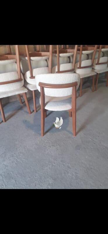 Stul yeni rəng 🫟 seçimi var