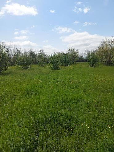 Torpaq: 26 sot, Tikinti, Kupça (Çıxarış), Bələdiyyə — 5