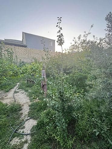qarpiz satisi: 3 sot, Tikinti, Mülkiyyətçi, Kupça (Çıxarış) — 9