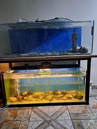 Satılır: iri həcmli akvariumlar komplekti hər bir aksesuarı üstündə — 1