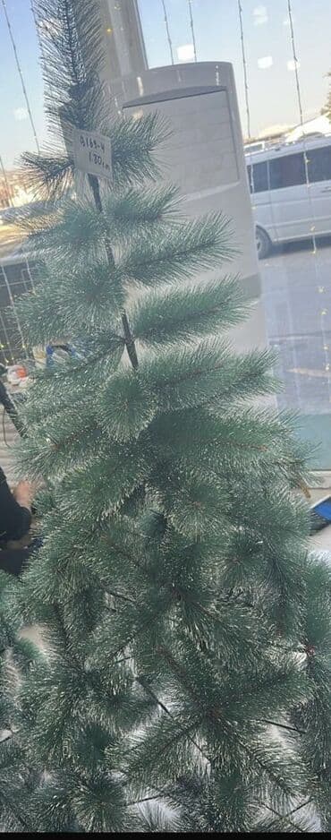 hinduska eti satilir: ✅Şam ağacı ✅Sam agaci ✅Yolka ✅Yolka ağacı ✅Yeni il ağacı ✅Yeni il — 2