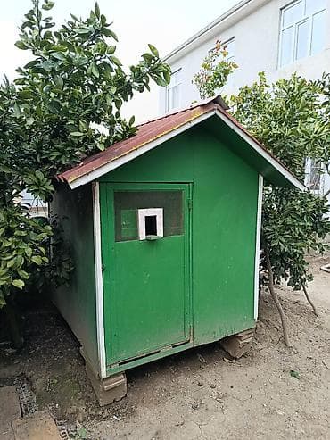 Göy rəngli taxta quşxana/sərçəxana - Material: taxta karkas, taxta lalafo.az -da Göy rəngli taxta quşxana/sərçəxana - Material: taxta karkas, taxta