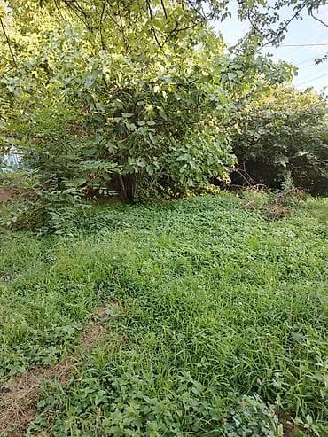 3 sot, Tikinti, Mülkiyyətçi lalafo.az -da 3 sot, Tikinti, Mülkiyyətçi
