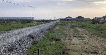 xocesende torpaq: 83 sot — 4