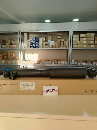 masin satis saytlari: Kia Rio, Ceed, Cerato, Optima, Sportage / Hyundai Accent, Elantra — 4