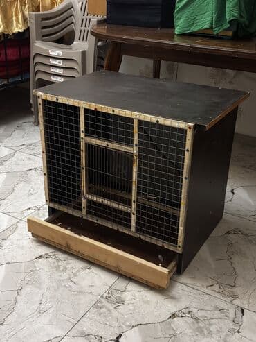 Gəmiricilər: Quşlar ve Yekə siyirməli qəfəs. Hündürlük-62 sm Eni-66sm Dərinliyi isə — 4