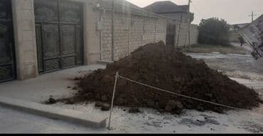 dibcək gulləri ev gulleri ve adlari: Torpaq, bağçılıq və ya tikinti işləri üçün yararlı ola bilər. Təmiz və — 7