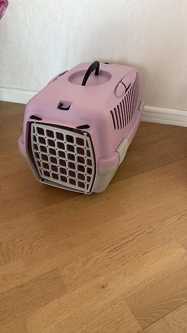 doberman balası: Heyvan daşıma konteyneri – pişik və kiçik itlər üçün. - Rəng: açıq — 1