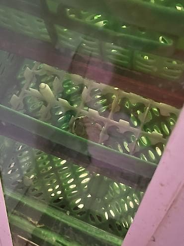 İstehsal avadanlığı: Tam avtomat — 6