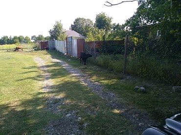 mənzil kirayələmək 1 günlük: 6 sot, Kənd təsərrüfatı, Mülkiyyətçi, Kupça (Çıxarış) — 9