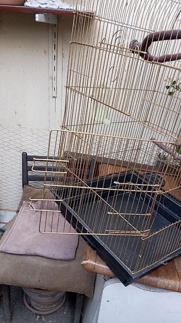 Qəfəslər: Quş qəfəsi – geniş və praktik - Material: metal barmaqlıqlı, qızılı — 4
