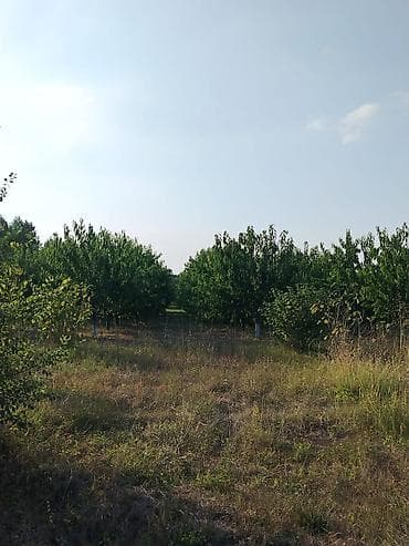 взять кафе в аренду: 180 соток Для сельского хозяйства, Водопровод — 2