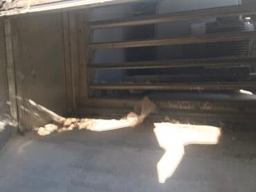 bal suzən maşın: Hucreli havalandirma tezedi istifade olmuyub boyuk bir binanin — 16