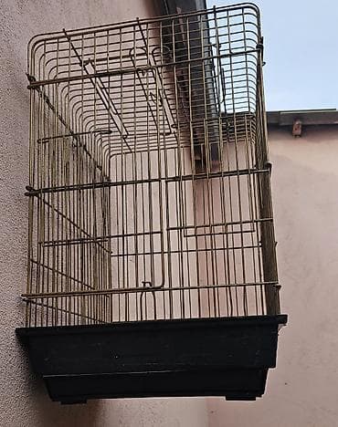 Gəmiricilər: Qəfəs satılır az işdifade olunub aşağısındaki qabın qırağında bir az — 3