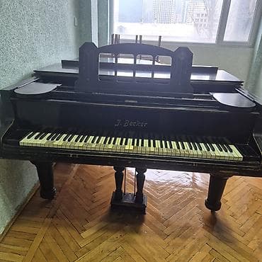 Royal, Akustik, İşlənmiş, Ünvandan götürmə