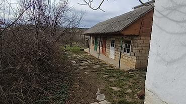 saatlı rayonu: 21 sot, Biznes üçün, Kupça (Çıxarış) — 3