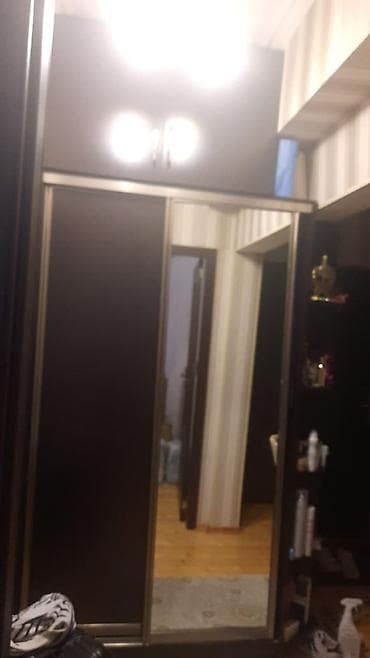 saloglu tek carpayi: 2 qapılı, Güzgülü, Qəhvəyi, Digər material, Kupe, Düz dolab — 4