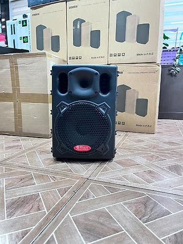Kolonka MAX J-1408 Active Səs Daxili gücləndirici (Active) 2 mikrofon — 1