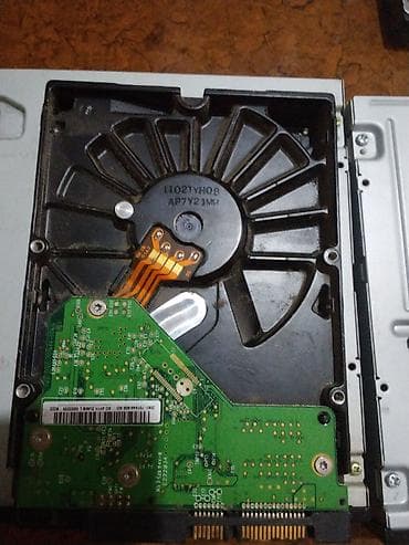 ram ddr 2: Daxili Sərt disk (HDD) Western Digital (WD), 240 GB, 7200 RPM, 3.5" — 2