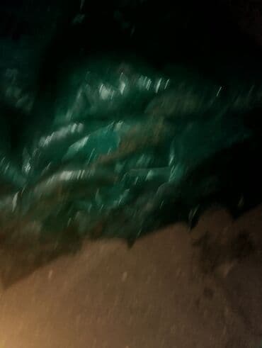 ağac satışı baki: Balaken torfu peyin ekolayf peyin peyin peyin torf250 litr torf — 31