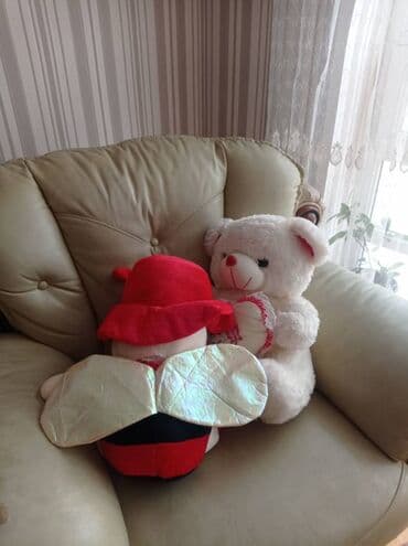 i̇şıqlı uşaq kedləri: Qiymət 10 manatdan başlayır. Yeni kimidilər, bəzilərinin etiketləri — 6