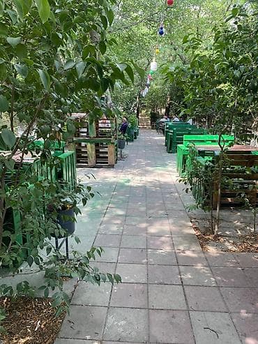 su suzen das: İctimai iaşə obyekti – kafe/çayxana - Geniş və işıqlı daxili zal — 2