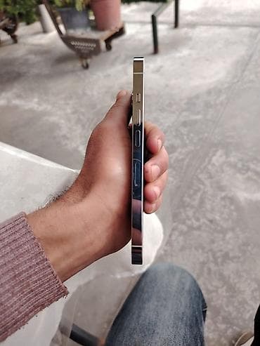 supergun nar legv etmek: IPhone 13 Pro, 256 GB, Gümüşü, Face ID — 4