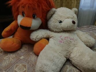 tedi ayı: Мягкие игрушки в отличном состояниицена лев - 15 манатмедведь 10 — 2