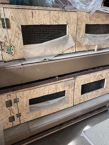 cuce fermasi: Quşçuluq avadanlıqları paketi 1056yumurtalıq inkibator xüsusi — 6