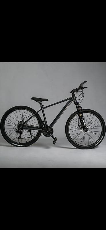 велосипед 29: Şəhər və yüngül off-road üçün universal dağ velosipedləri - Çərçivə — 2