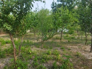 продается земельный участок: 24 sot, Kənd təsərrüfatı, Kupça (Çıxarış) — 5