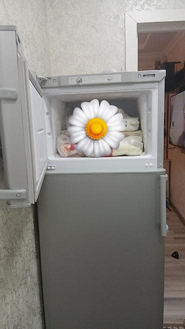 İki qapılı soyuducu - Üst hissədə dondurucu bölmə, mexaniki