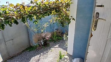 gündəlik kirayə evlər: 2 otaqlı həyət evi - Plan: giriş pilləkənli eyvan, 2 ayrı otaq (yataq — 9