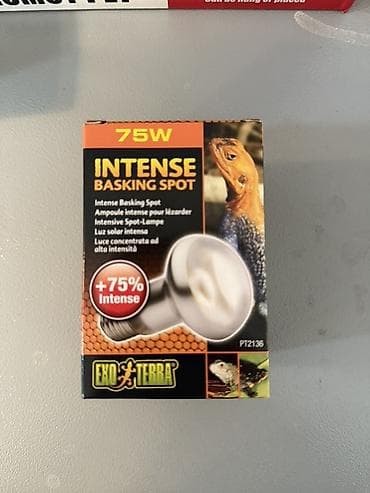 Exo Terra Intense Basking Spot – 75W - Reptiliya terrariumları üçün lalafo.az -da Exo Terra Intense Basking Spot – 75W - Reptiliya terrariumları üçün