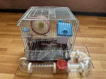 Heyvanlar üçün mallar: Hamster üçün tam dəst 2 mərtəbə qəfəs - Metall karkaslı, çıxarılan — 1