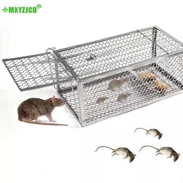 manikür aparati: Sican telesi 21 sm --- 11 azn 24 sm --- 13 azn 27 sm --- 17 azn 30 — 1